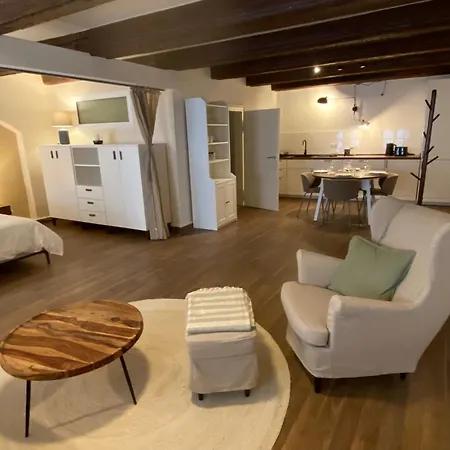 Grosszuegiges 1 Zimmer-apartment Mit Badewanne