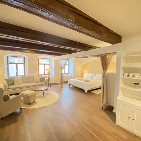 Grosszuegiges 1 Zimmer-apartment Mit Badewanne Apartment